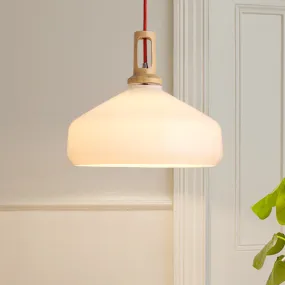 Frosted Beaker Pendant Light
