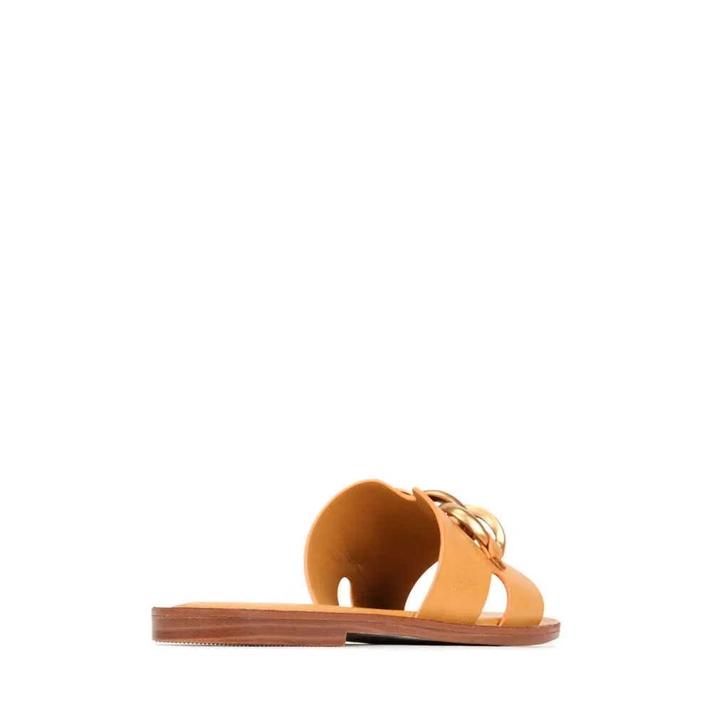 MAIZ SLIDES