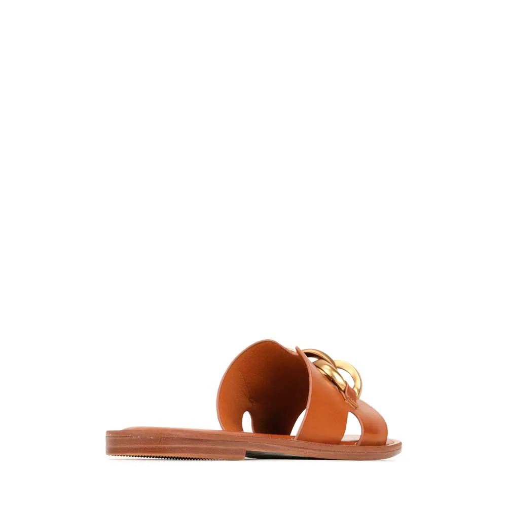 MAIZ SLIDES