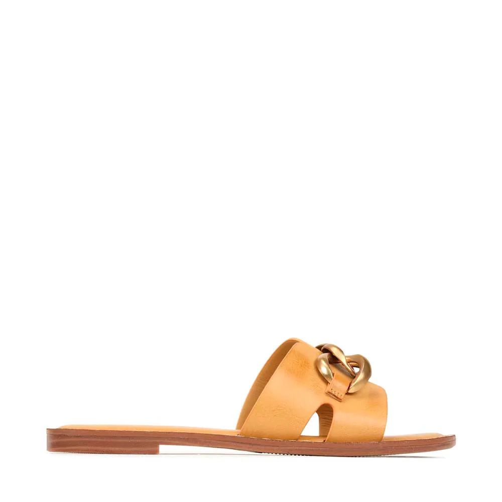 MAIZ SLIDES