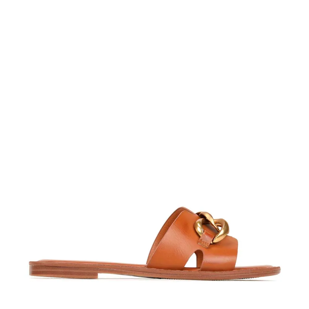 MAIZ SLIDES