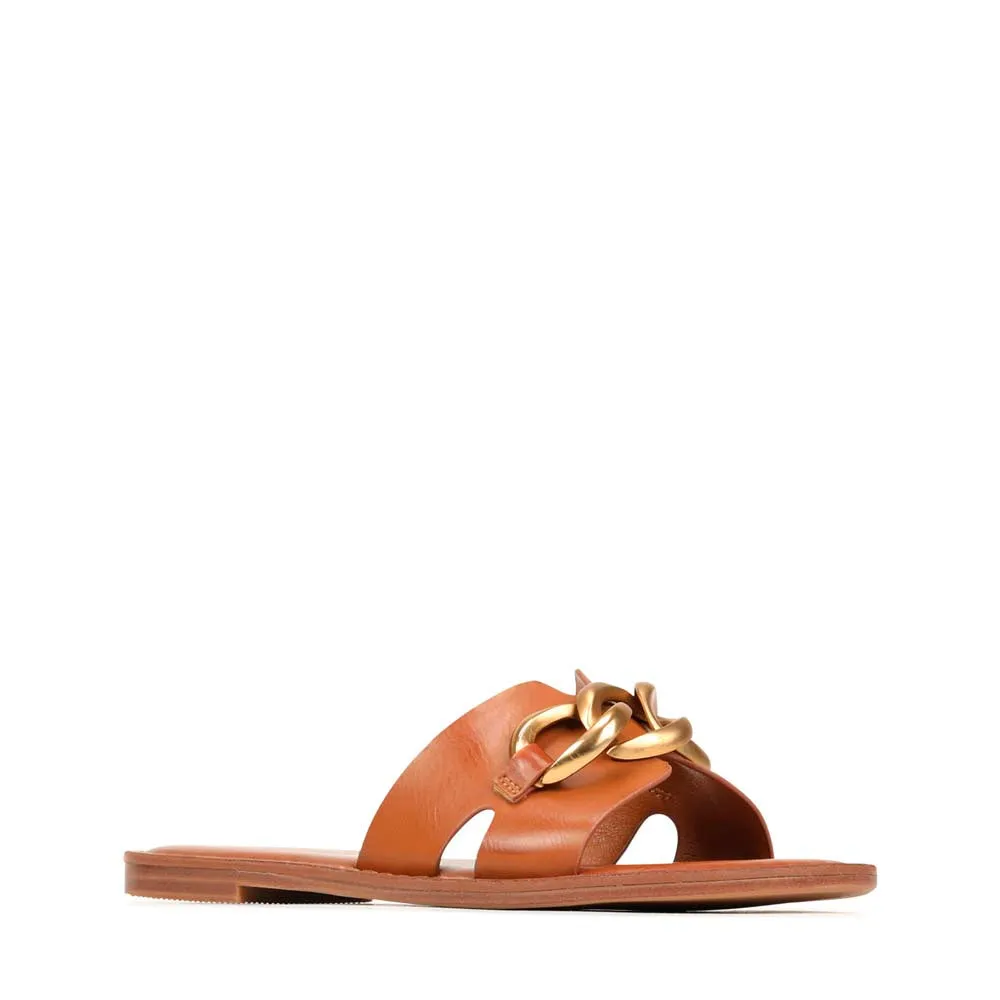 MAIZ SLIDES