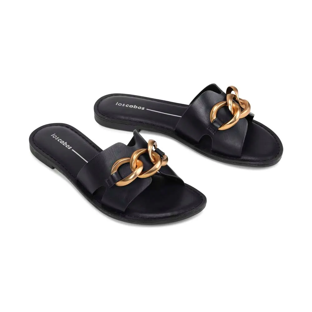 MAIZ SLIDES