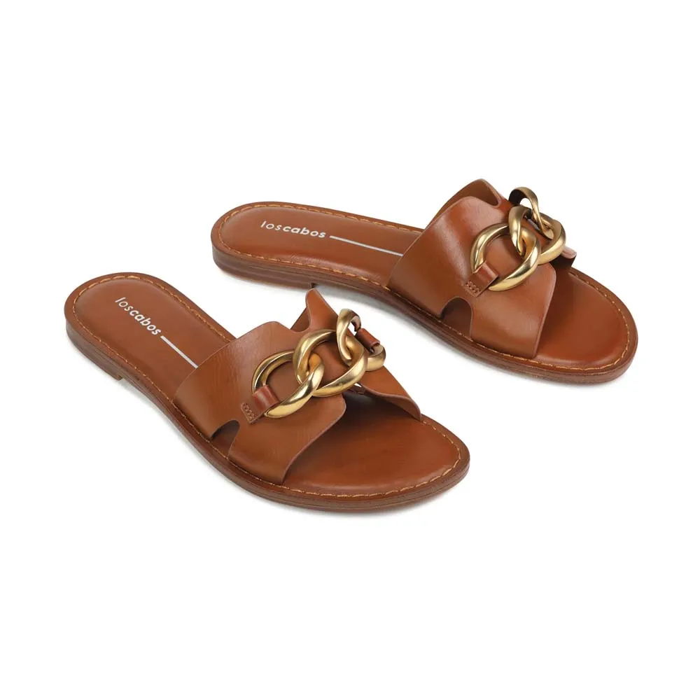 MAIZ SLIDES