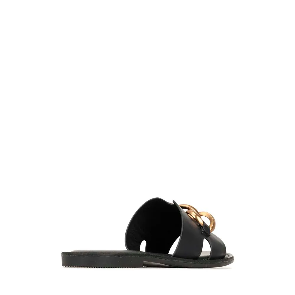 MAIZ SLIDES